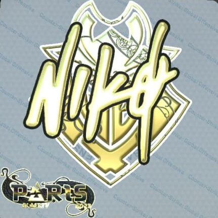 NiKo nueva firma Major CSGO Paris 2