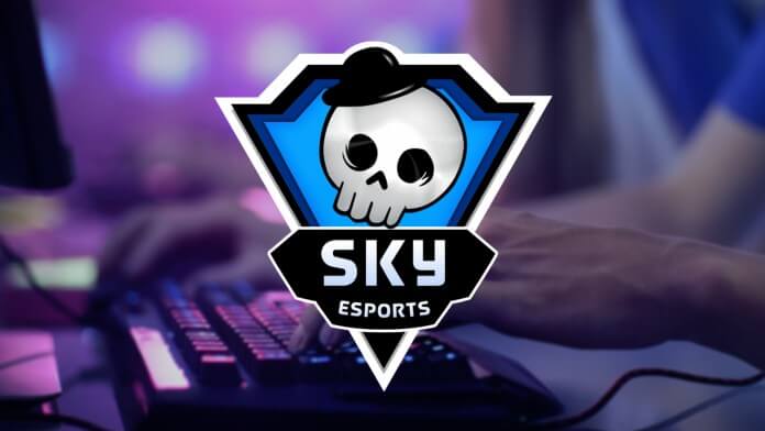 S8UL Esports breaks relationship with Skyesports
