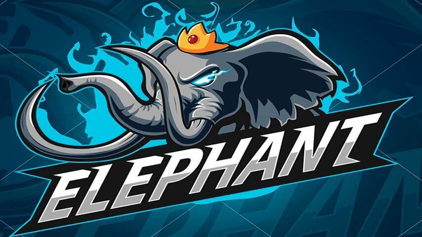 Elephant picked up Dota players Somnus and fy for over 4 million
