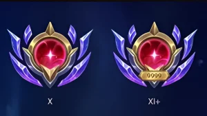 nivelesmaestria.png